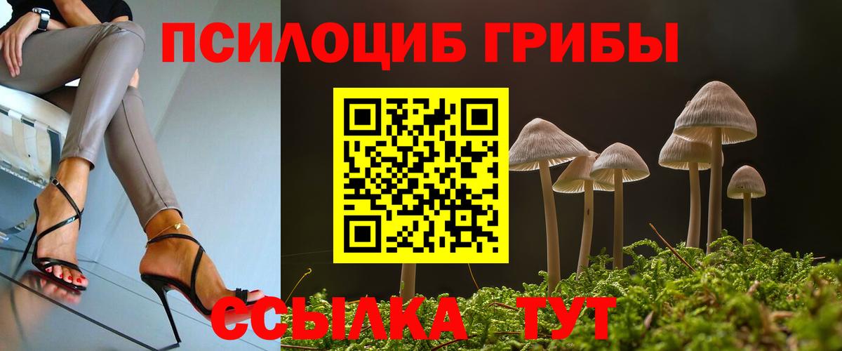 Псилоцибиновые грибы GOLDEN TEACHER  Вход с VPN  где найти   Прокопьевск 