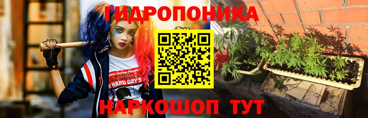 Бошки марихуана семена Прокопьевск